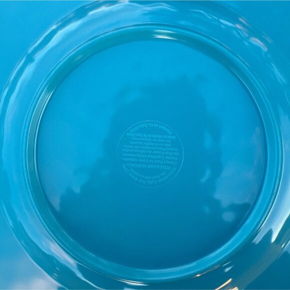 Set Of 4 William Sonoma Rustic Turquoise 8" Salad Plates Distressed Look Stonewa - Picture 3 of 3